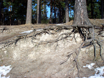 Similar image 2831738