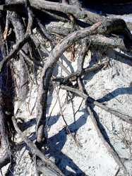 Similar image 2831739