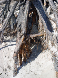 Similar image 2831740