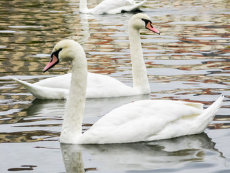 Similar image 2831747