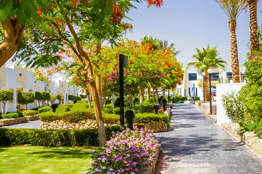 Similar image 2831749