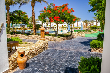 Similar image 2831750