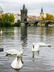 Similar image 2831754