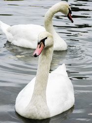 Similar image 2831755