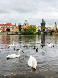 Similar image 2831768