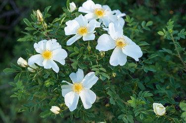 Similar image 2831776