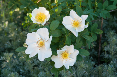 Similar image 2831778