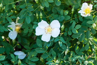 Similar image 2831779