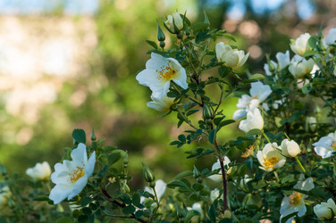 Similar image 2831780