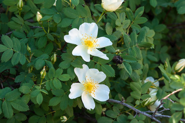 Similar image 2831782