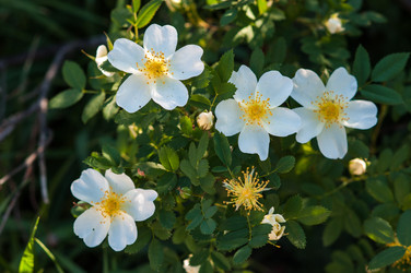 Similar image 2831783