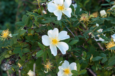 Similar image 2831784