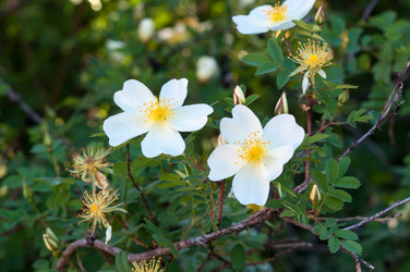 Similar image 2831785