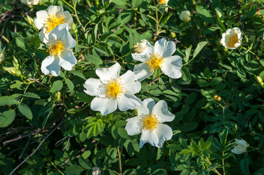 Similar image 2831786