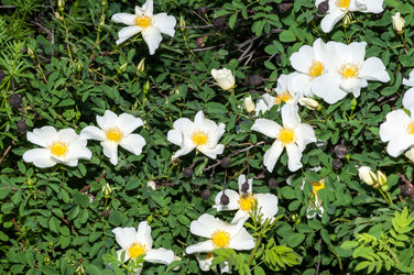 Similar image 2831803