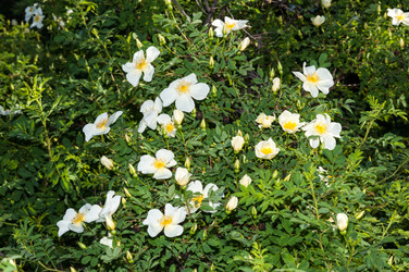 Similar image 2831804