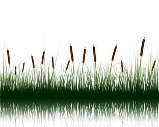 Similar image 2831812