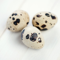 Similar image 2831849