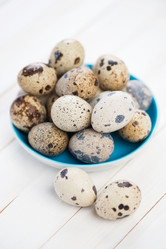 Similar image 2831852