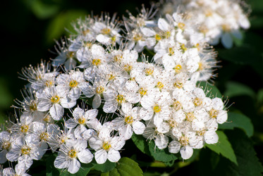 Similar image 2831854