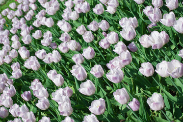 Similar image 2831855