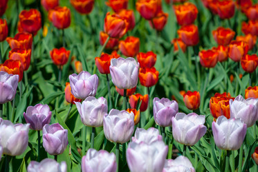 Similar image 2831856