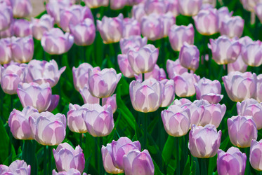 Similar image 2831858