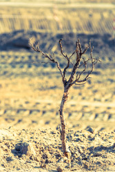 Similar image 2831861