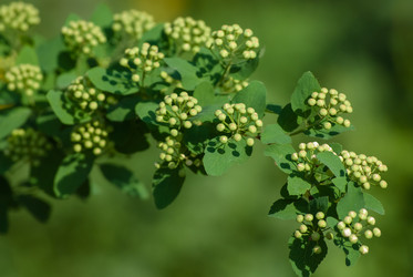 Similar image 2831862