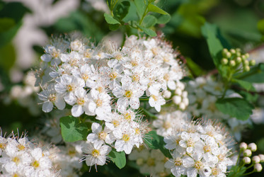 Similar image 2831864