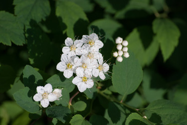 Similar image 2831866