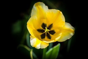 Similar image 2831867