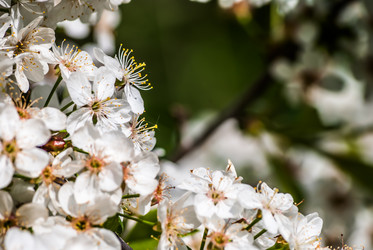 Similar image 2831868