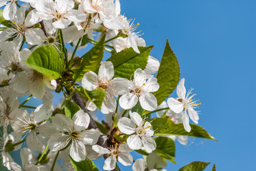 Similar image 2831869