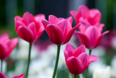 Similar image 2831870