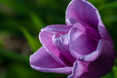 Similar image 2831871