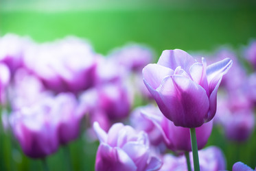 Similar image 2831872