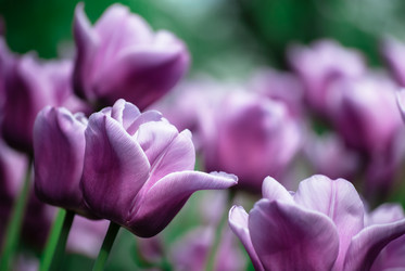 Similar image 2831873