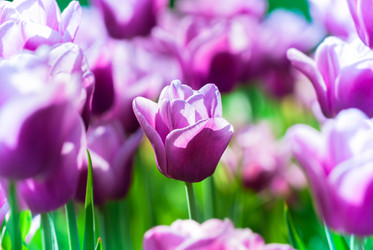 Similar image 2831874