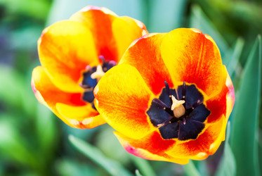 Similar image 2831875