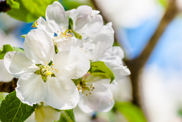 Similar image 2831877