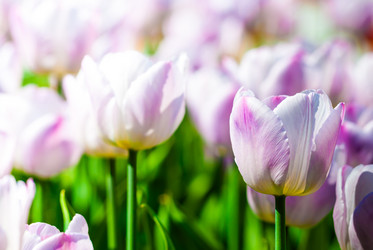 Similar image 2831878