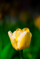 Similar image 2831879