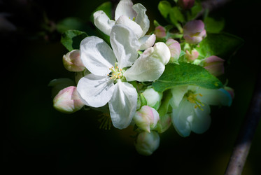 Similar image 2831880