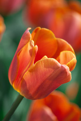 Similar image 2831881