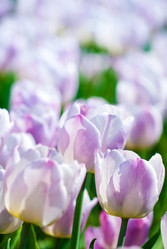 Similar image 2831882