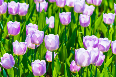 Similar image 2831883