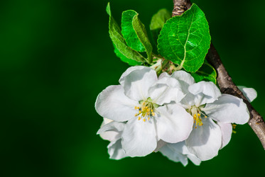 Similar image 2831885