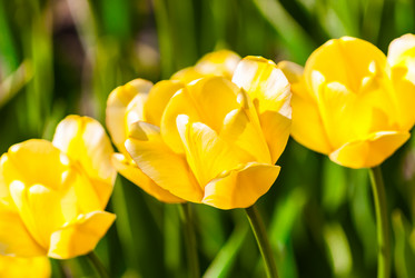 Similar image 2831886