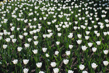 Similar image 2831887